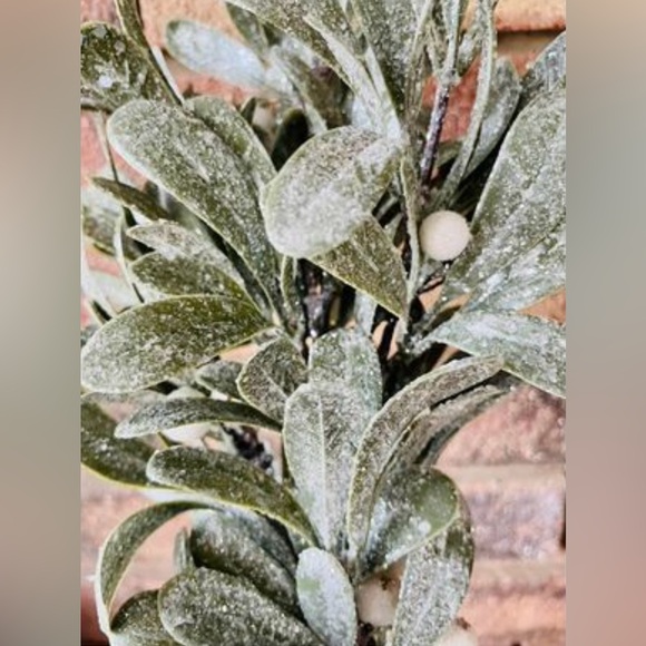 *Ice Kissed Mistletoe Pick - Picture 3 of 6